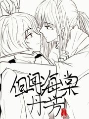 深入了解 今日看料官网入口
